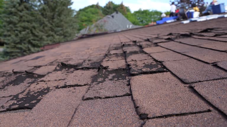 Best 4 Ply Roofing  in Miamisburg, OH
