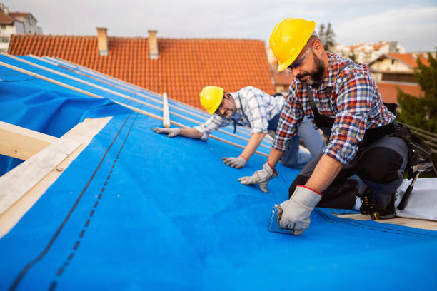 Best Roof Insulation Installation  in Miamisburg, OH